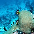 Madagascar to Triple Country’s Marine Protected Areas thumbnail