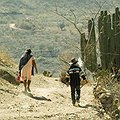 Forensic Commission Created to Investigate Crimes against Migrants thumbnail