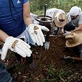 Accounting for Unidentified Bodies thumbnail