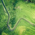 Coalition of Funders Commit to Scale Impact Investment thumbnail