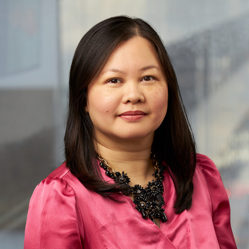 LeMinh Hoang, author
