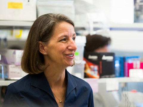 Bioengineer Rebecca Richards-Kortum | 2016 MacArthur Fellow