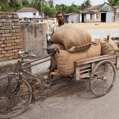 India’s Informal Workers Demand Better Working Conditions