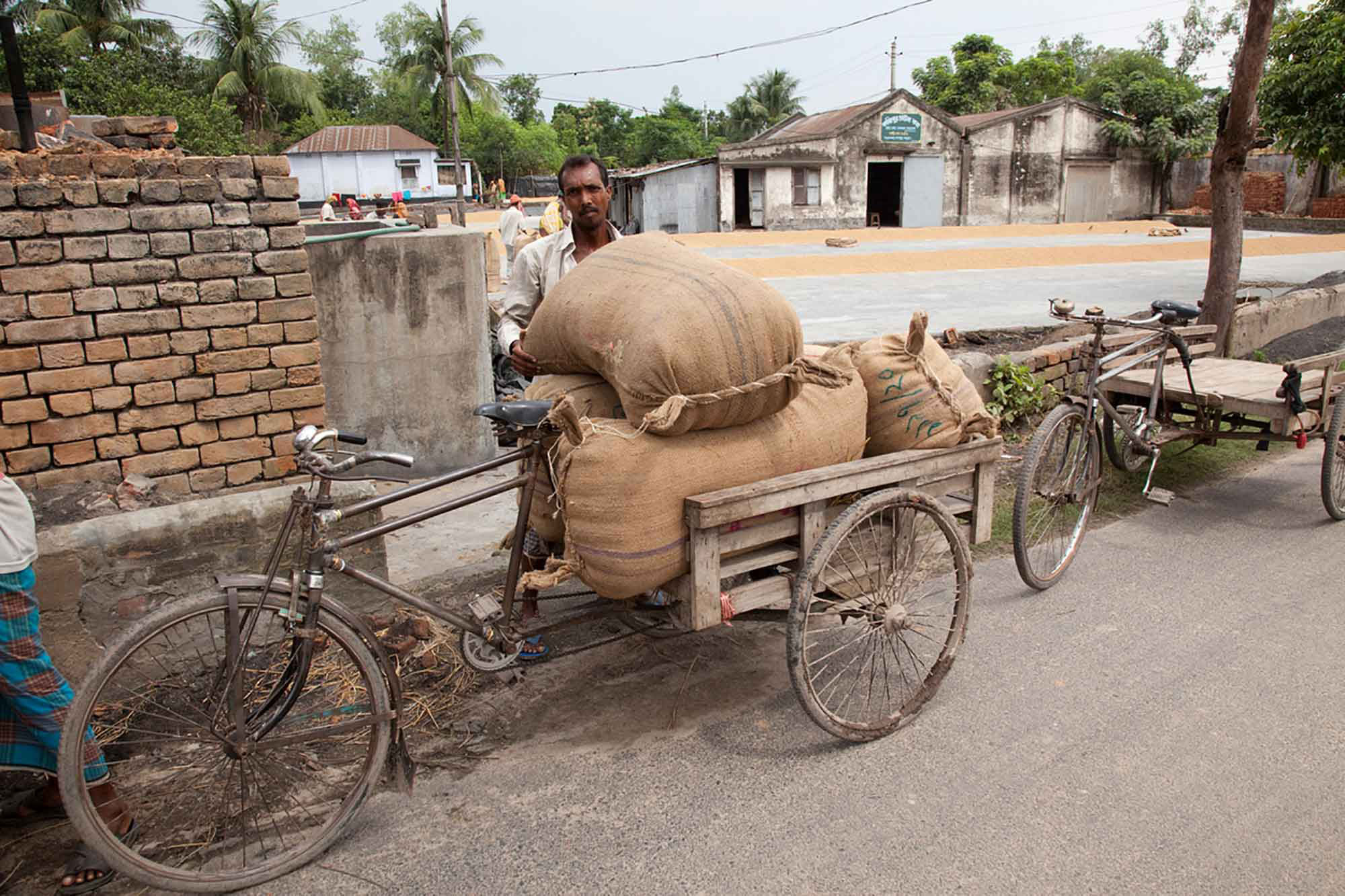 billboard image India’s Informal Workers Demand Better Working Conditions